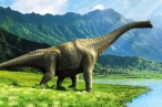 چرا دایناسور ها بزرگ بوده اند 