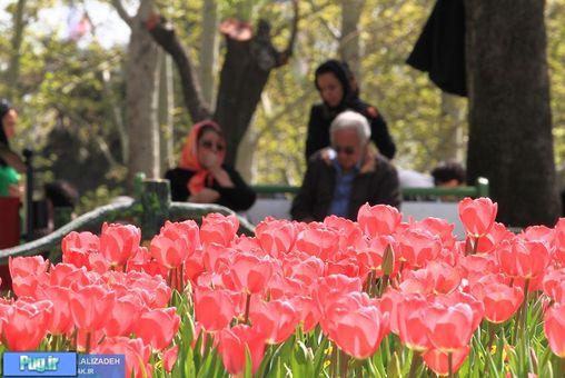 عکس های سیزده به در تهران