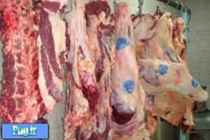 فروشندگان گوشت الاغ در کرمان به تبعید و حبس محکوم شدند