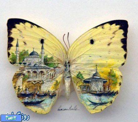 هنری بر بال پروانه