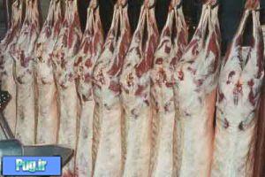 قیمت گوشت گوسفندی در بازار