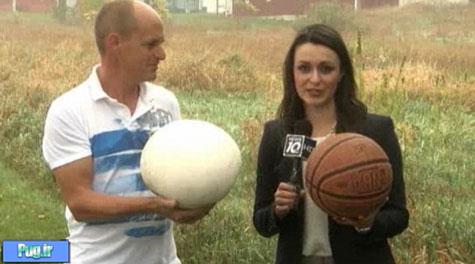 قارچ بزرگتر از توپ بسکتبال