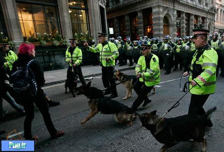 سگ های پلیس آمریکا نژاد پرست هستند