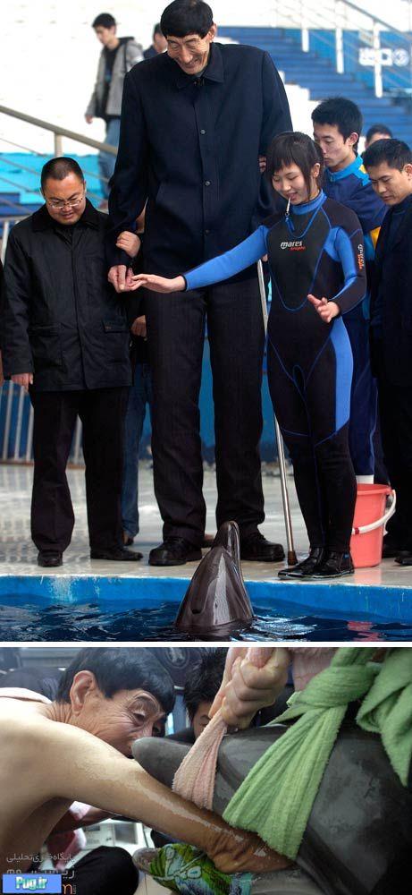 درد دلفین را بلندقدترین مرد دنیا آرام کرد +عکس