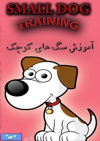   DVD آموزش به سگهای کوچک