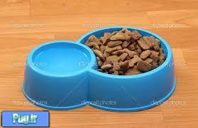 مقایسه غذای خشک و غذای خانگی برای سگ ها 