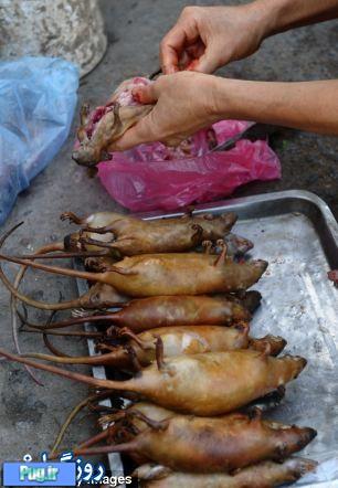 شکار و کباب موش در ویتنام