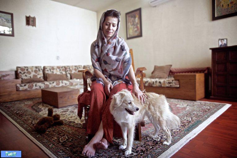 ایرانی ها و سگ هایشان 