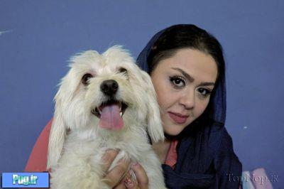 ایرانی ها و سگ هایشان 