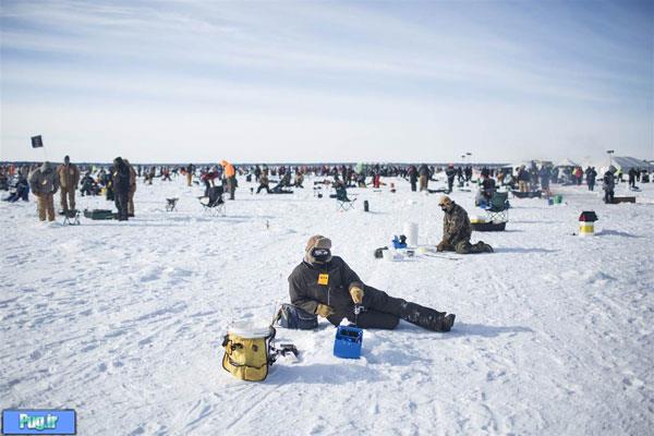 کستار ماهی ها در هوای یخ