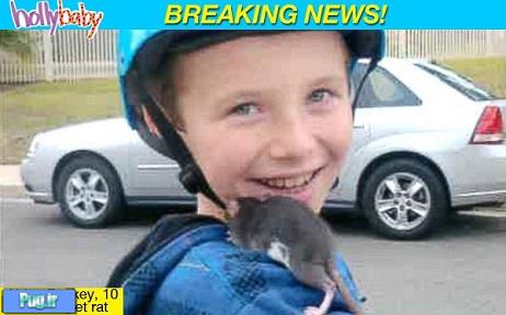 مرگ پسری به خاطر خرید موش