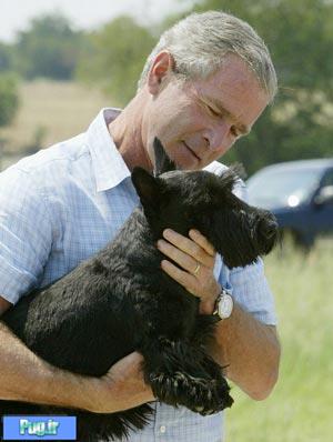 سگ جورج بوش از دنیا رفت 