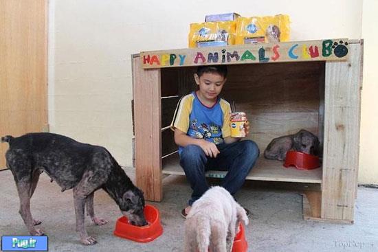 پسر 9 ساله ناجی حیوانات بی‌خانمان 