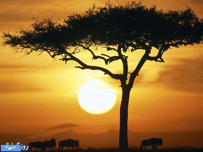 آفریقا،سرزمین زیبایی ها 