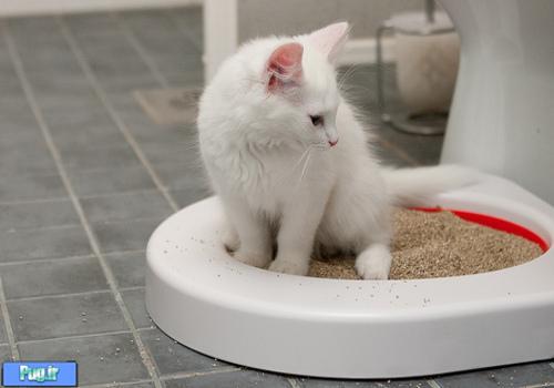 جای خاک اتوماتیک گربه برای تمیز کردن خاک کثیف از تمیز