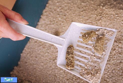 جای خاک اتوماتیک گربه برای تمیز کردن خاک کثیف از تمیز