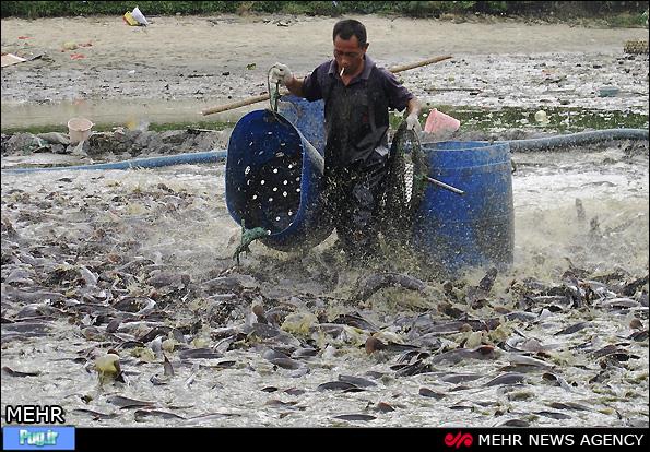 آلودگی رودخانه ها و دریاچه ها در چین 