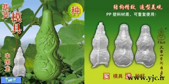 پرورش سبزیجات عجیب در چین