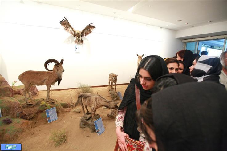 افتتاح نمایشگاه مشترک موزه ملی ایران و موزه ذخائر ژنتیک