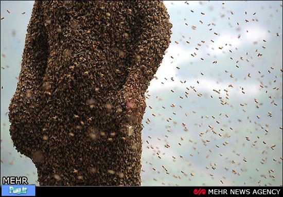 460 هزار زنبور روی بدن این مرد! 