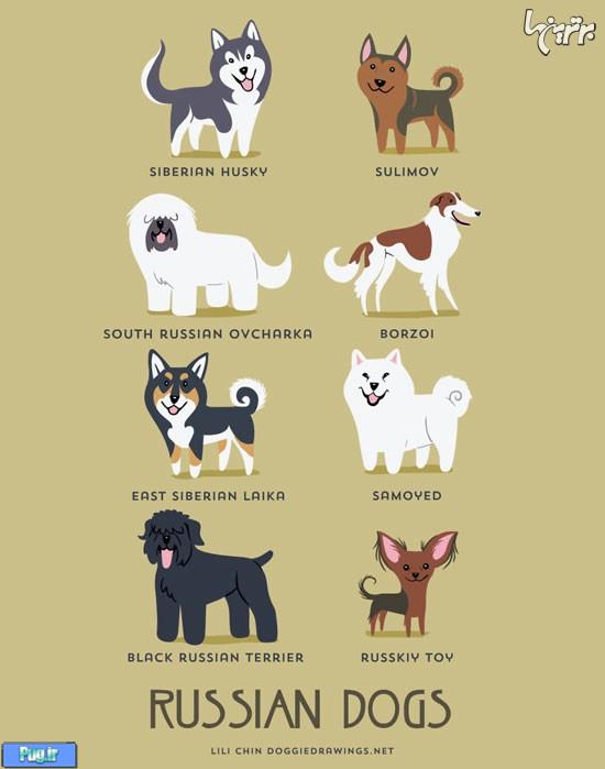 اصل و ریشه نژادهای مختلف سگ‌ها