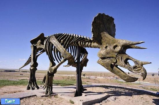 صحرای دایناسور ها در چین