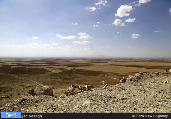 کشف فسیل 20 میلیون ساله در ایران 