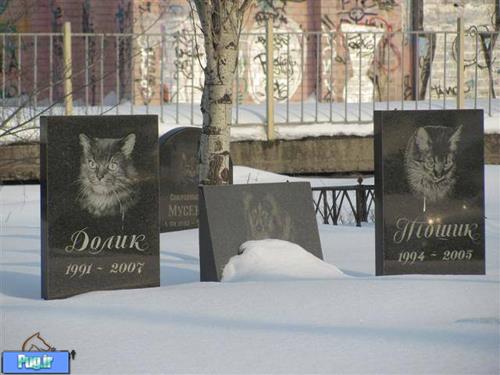 ارامگاه حیوانات خانگی در شهر کی یف