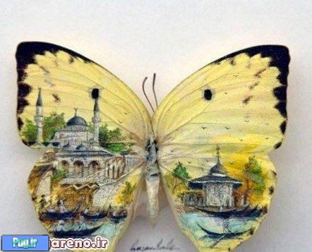 طراحی های جالب بر بال پروانه