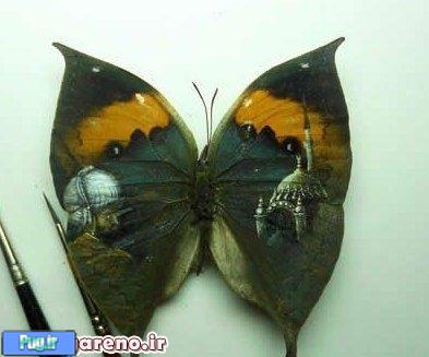 طراحی های جالب بر بال پروانه