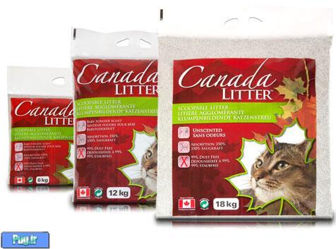 گربه کانادایی با جذب 350 محصول کانادا در پرشین پت 