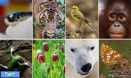 شعار روز جهانی تنوع زیستی در سال 2015 اعلام شد