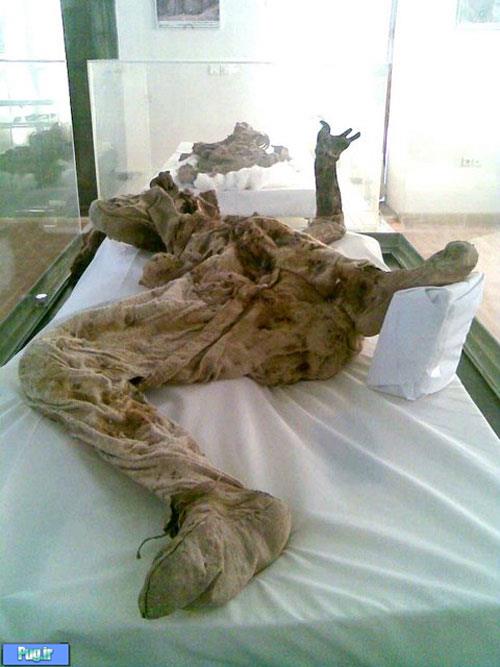 مومیایی نمکی در موزه ایران باستان 