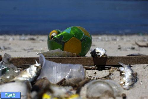 آلودگی خلیج گوانابارای برزیل 
