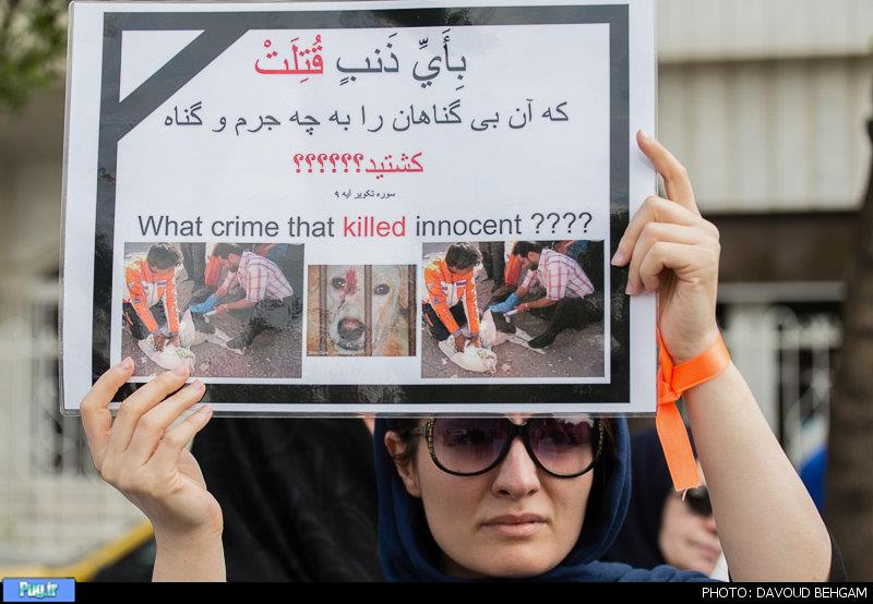 تجمع در اعتراض به کشتار حیوانات در مشهد