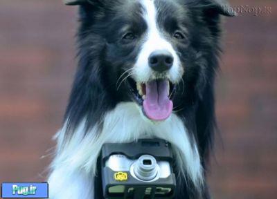 اولین سگ عکاس دنیا 