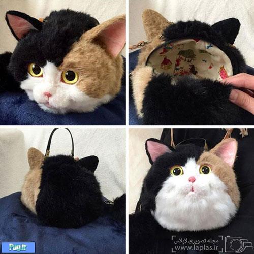 کیف های گربه ای، ترسناک یا زیبا؟