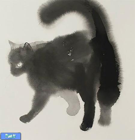 نقاشی های  با اب رنگ از گربه 