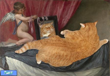 اگر گربه ها در قالب هنر بودند 