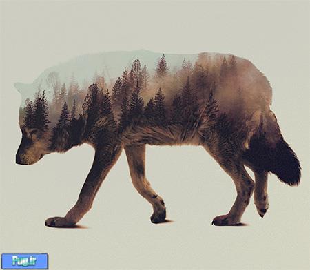 حیوانات با طرح جنگل 