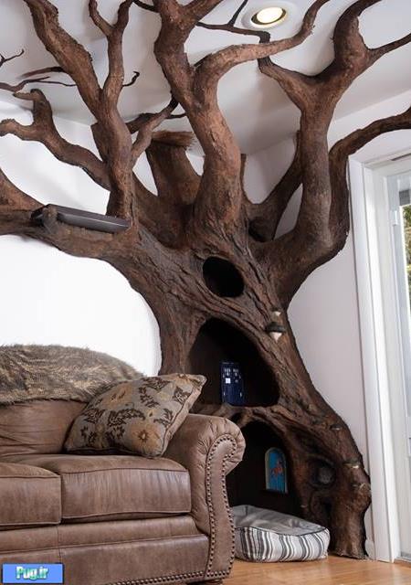 درخت گربه در منزل 