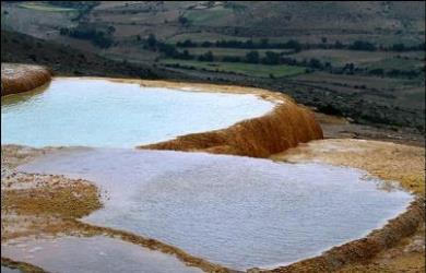 کشف دوباره يکي از شگفتيهاي طبيعت پس از 125 سال 