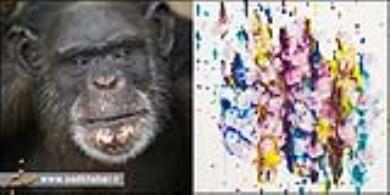این شامپانزه  نقاش