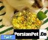 طرز تهیه سالاد برای گربه