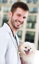 چهار راه براي تميز نگه داشتن دندانهاي سگ‎(ترجمه)