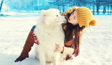 قذم زدن با سگ ها در زمستان 