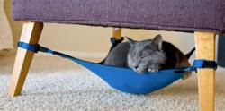 تخت بلبلی برای گربه ها