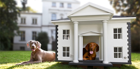 خانه های شگفت انگیزی برای سگ ها
