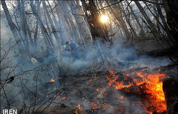 آتش سوزي جنگل   آتش سوزي در جنگلهاي خوزستان آغاز شد 