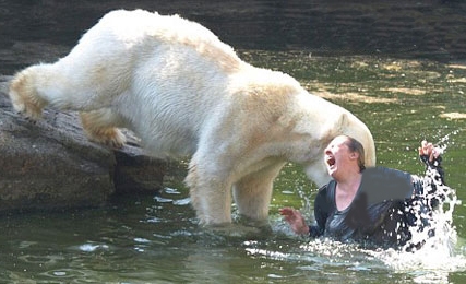 بازی احمقانه یک زن با خرس های قطبی !